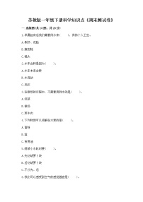 苏教版一年级下册科学知识点《期末测试卷》带答案（实用）