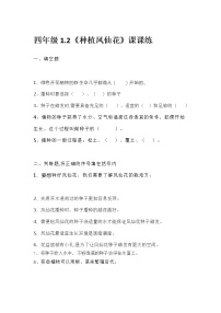 小学科学教科版 (2017)四年级下册2.种植凤仙花测试题