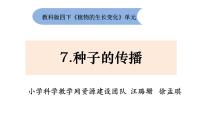 2021学年7.种子的传播多媒体教学ppt课件