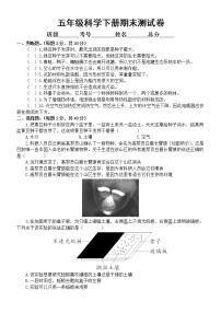 小学科学教科版五年级下册期末测试C卷（2022新版）（附参考答案）