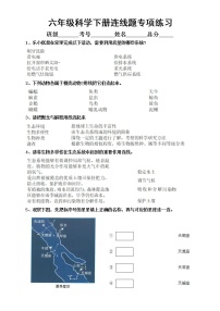 小学科学教科版六年级下册期末复习连线题专项练习（2022新版）（附参考答案）