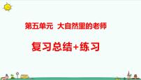 新大象版科学五年级下册第五单元复习课件 练习（30张PPT）