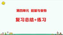 新大象版科学五年级下册第四单元复习课件 练习（33张PPT）