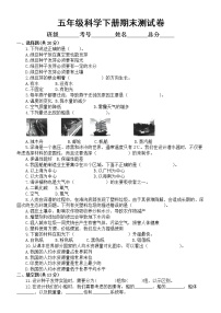 小学科学教科版五年级下册期末测试卷（2022新版）8（附参考答案）