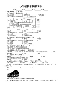 小学科学教科版小升初模拟试卷（2022新版）2（附参考答案）