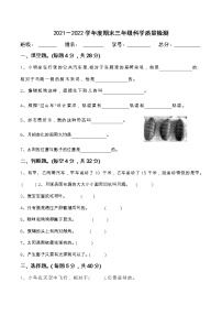 教科版科学 三年级下册科学期末试题