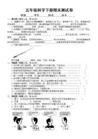 小学科学教科版五年级下册期末测试卷（六）（2022新版）（附参考答案）