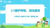 湘科版 (2017)四年级上册3 保护呼吸、消化器官优秀教学课件ppt