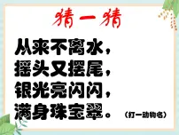 科学三年级上册2 鱼试讲课ppt课件