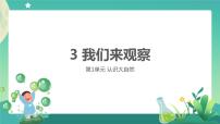 小学科学粤教粤科版 (2017)一年级上册3.我们来观察说课ppt课件