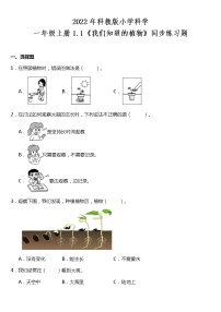 小学科学教科版 (2017)一年级上册1.我们知道的植物测试题