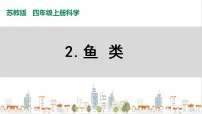 苏教版 (2017)四年级上册2 鱼类精品课件ppt