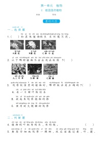 2020-2021学年6.校园里的植物课时作业