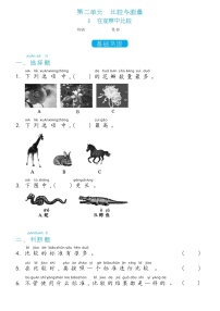 小学科学教科版 (2017)一年级上册1.在观察中比较练习题