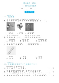 小学科学教科版 (2017)二年级上册1.我们生活的世界练习题