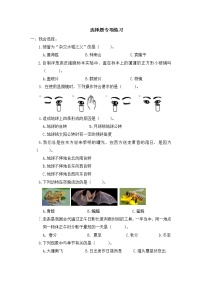 教科版科学六年级上册：选择题专项练习 (含答案)