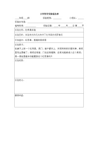 新教科版五上科学-实验报告单