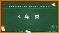 苏教版 (2017)四年级上册3 鸟类说课ppt课件
