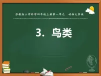 小学科学苏教版 (2017)四年级上册3 鸟类示范课ppt课件