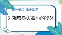 小学科学教科版 (2017)六年级上册3.观察身边微小的物体教课ppt课件