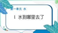 小学科学教科版 (2017)三年级上册1.水到哪里去了习题ppt课件