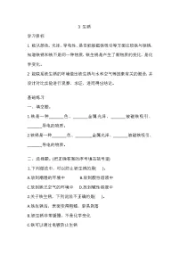 小学科学湘科版 (2017)五年级上册3 生锈当堂检测题