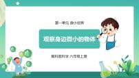 2021学年3.观察身边微小的物体一等奖ppt课件