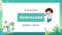 小学科学教科版 (2017)六年级上册5.观察更多的生物细胞精品ppt课件