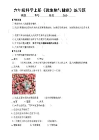 教科版 (2017)六年级上册7.微生物与健康达标测试