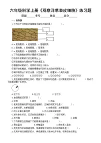 小学科学教科版 (2017)六年级上册4.观察洋葱表皮细胞测试题