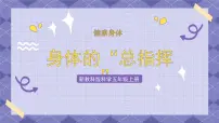 教科版 (2017)五年级上册4.身体的 “总指挥”优质ppt课件