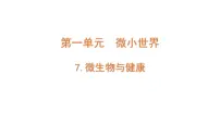 小学教科版 (2017)7.微生物与健康课文配套ppt课件