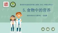 小学教科版 (2017)5.食物中的营养多媒体教学ppt课件