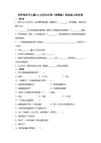 苏教版 (2017)四年级上册12 点亮小灯泡当堂达标检测题