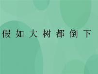 小学科学湘教版六年级上册4 假如大树都倒下优秀ppt课件