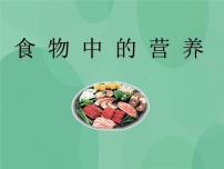 小学科学湘教版六年级上册1 食物中的营养精品课件ppt