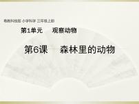 科学三年级上册6 森林里的动物教学ppt课件