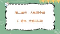 大象版 (2017)五年级上册第二单元 人体司令部1 感官、大脑与认知教课内容课件ppt