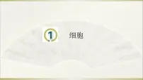 青岛版 (六三制2017)六年级上册1 细胞教学演示课件ppt