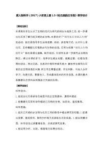 六年级上册3 化石里的古生物教学设计