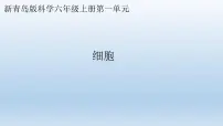 小学科学青岛版 (六三制2017)六年级上册第一单元 遗传和变异1 细胞教学ppt课件
