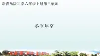 小学科学青岛版 (六三制2017)六年级上册8 冬季星空教学课件ppt