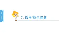 小学科学教科版 (2017)六年级上册7.微生物与健康多媒体教学ppt课件