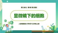 2020-2021学年9 显微镜下的细胞课堂教学课件ppt