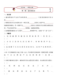 小学科学苏教版 (2017)六年级上册1 蜡烛的变化一课一练