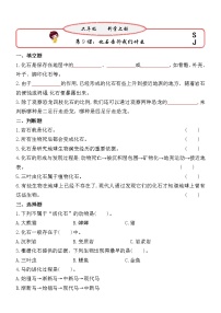 小学科学苏教版 (2017)六年级上册第3单元 化石的奥秘9 化石告诉我们什么练习题