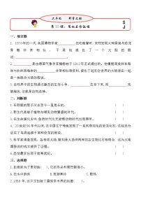 小学科学10 用化石作证据同步测试题