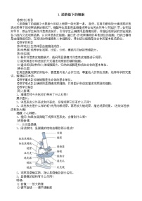 大象版 (2017)六年级上册1 显微镜下的细胞教案