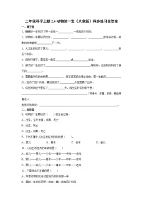 小学科学大象版 (2017)三年级上册第二单元 动物的特征4 动物的一生综合训练题