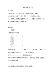小学科学湘科版 (2017)四年级上册5 怎样测量力的大小课后测评